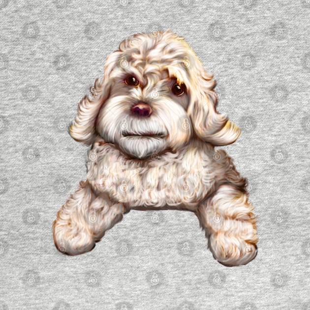 Cute white Cavapoo Cavoodle puppy dog - cavalier king charles spaniel poodle by Artonmytee